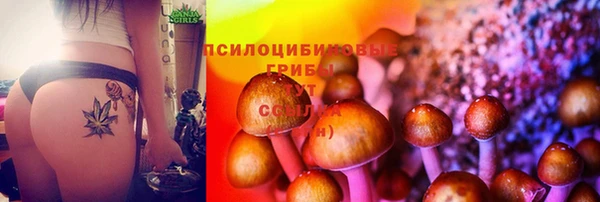 герыч Каменка