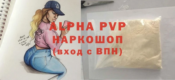 гашик Щучье