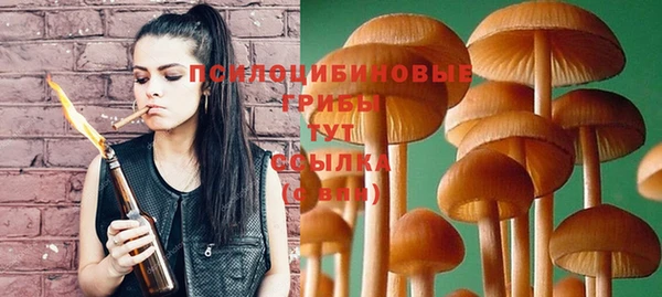 герыч Каменка